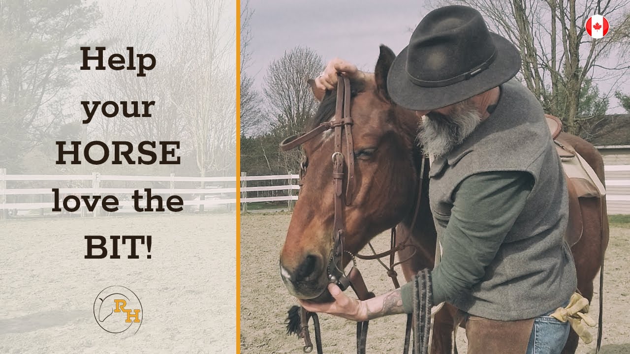 How to Bridle Your Horse Gently  |  Horseback Riding