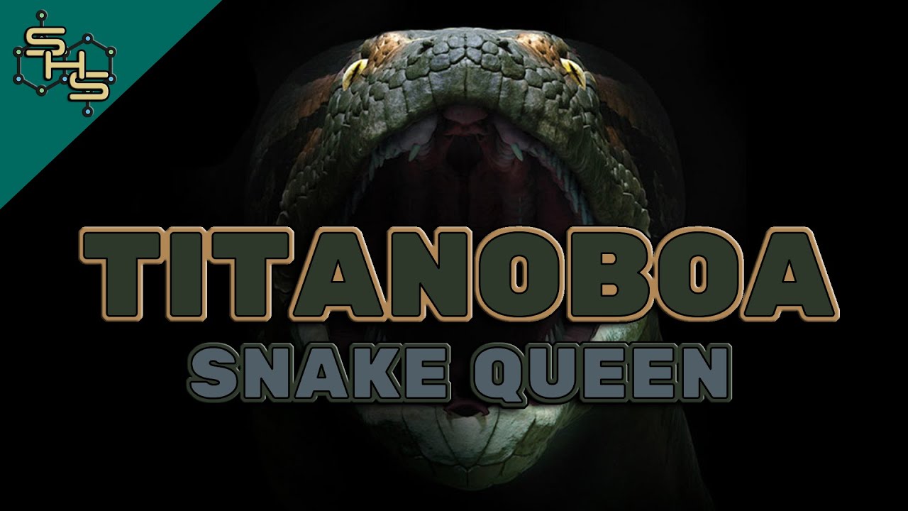 Titanoboa Facts For Kids - Snake Queen