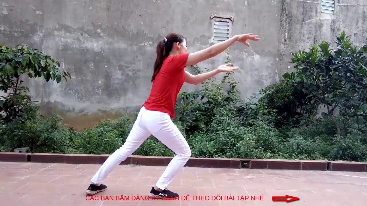HƯỚNG DẪN TẬP THÁI CỰC QUYỀN 24 THỨC ,NHẠC NỀN VỀ QUÊ,GÓC QUAY PHÍA SAU