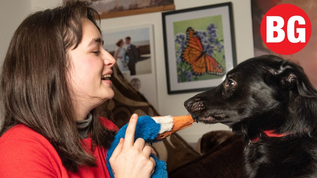Rescue dog helps woman lose six stone