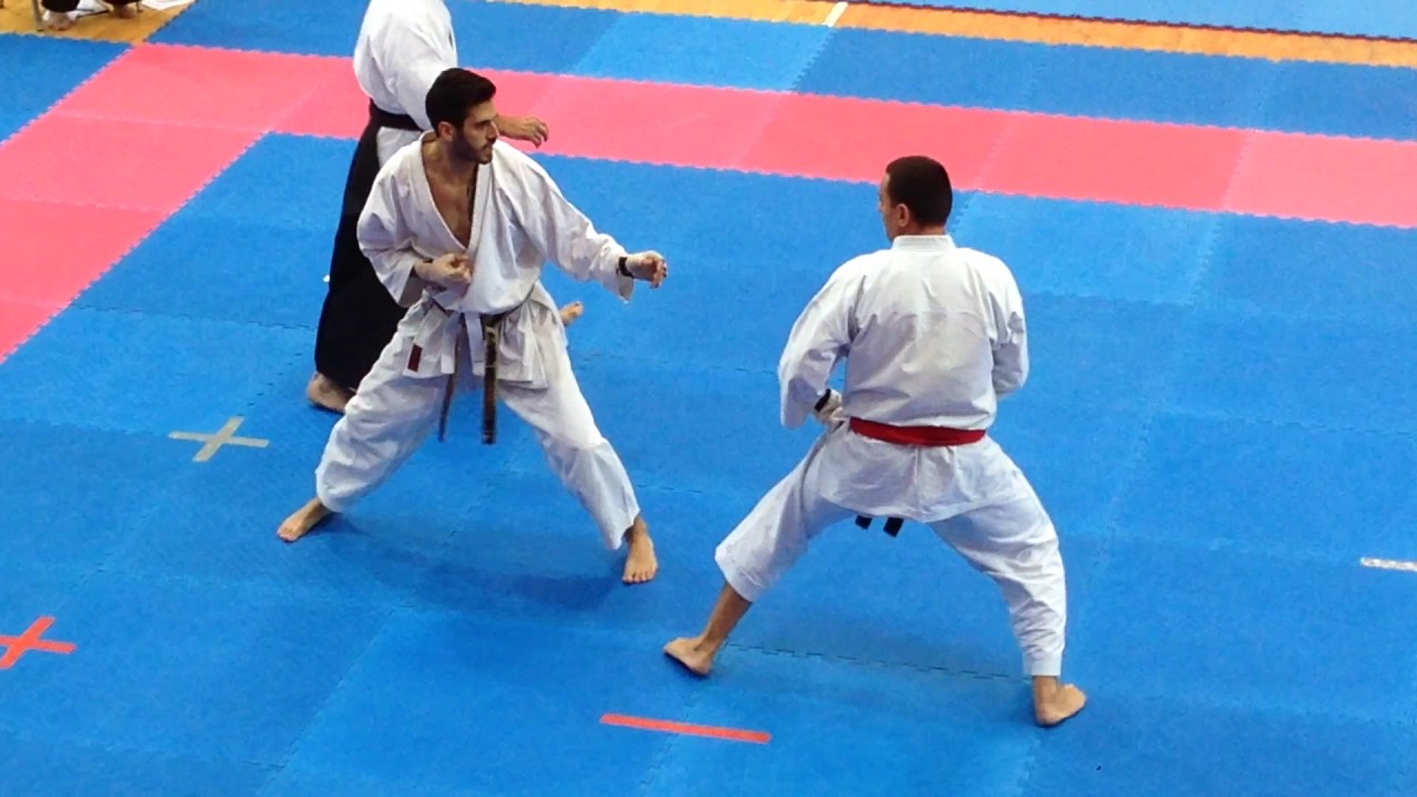 Dejan Nedev world champion in kumite at ITKF World Championship in Koper Slovenia 2015 (final match)