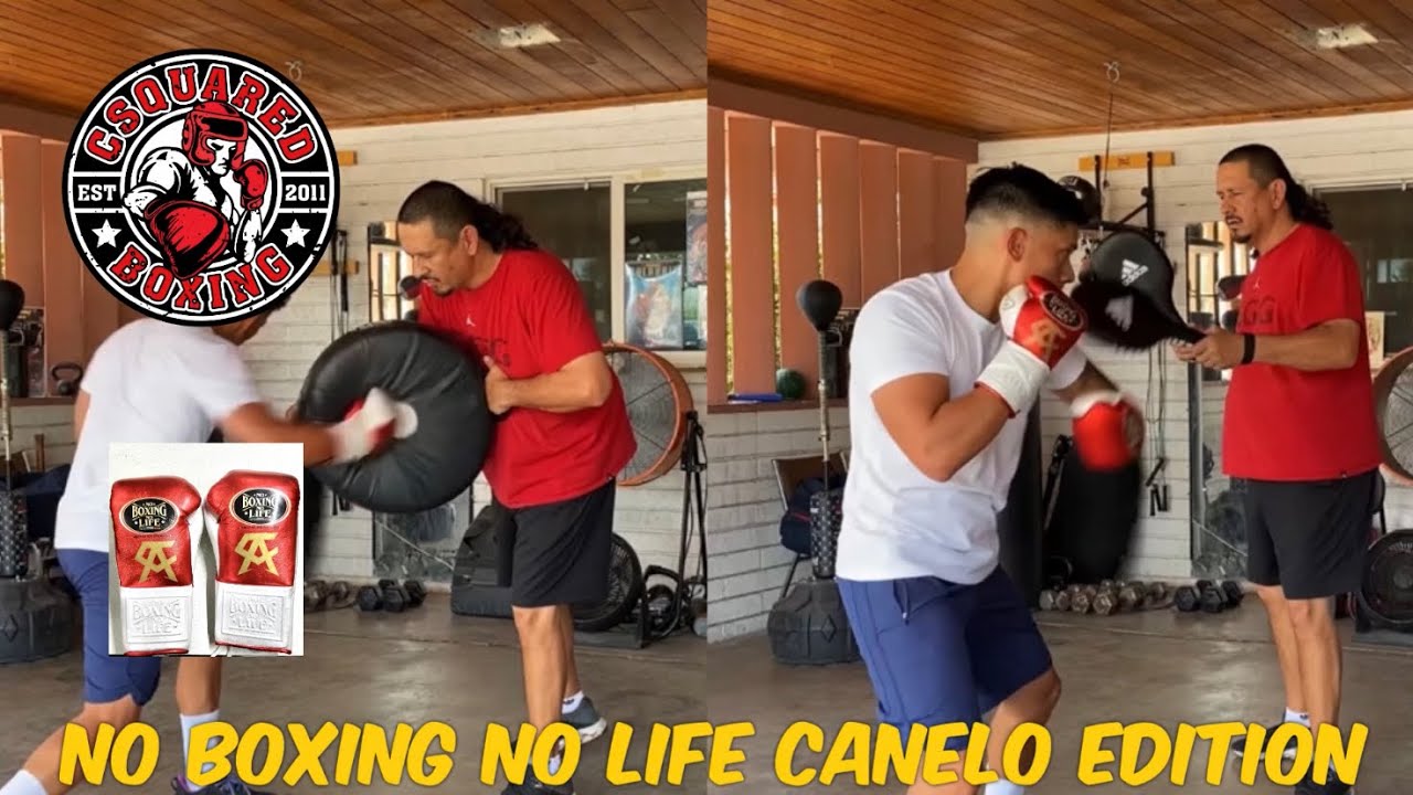 BOXING PAD WORK- No Boxing No Life Canelo Edition Gloves