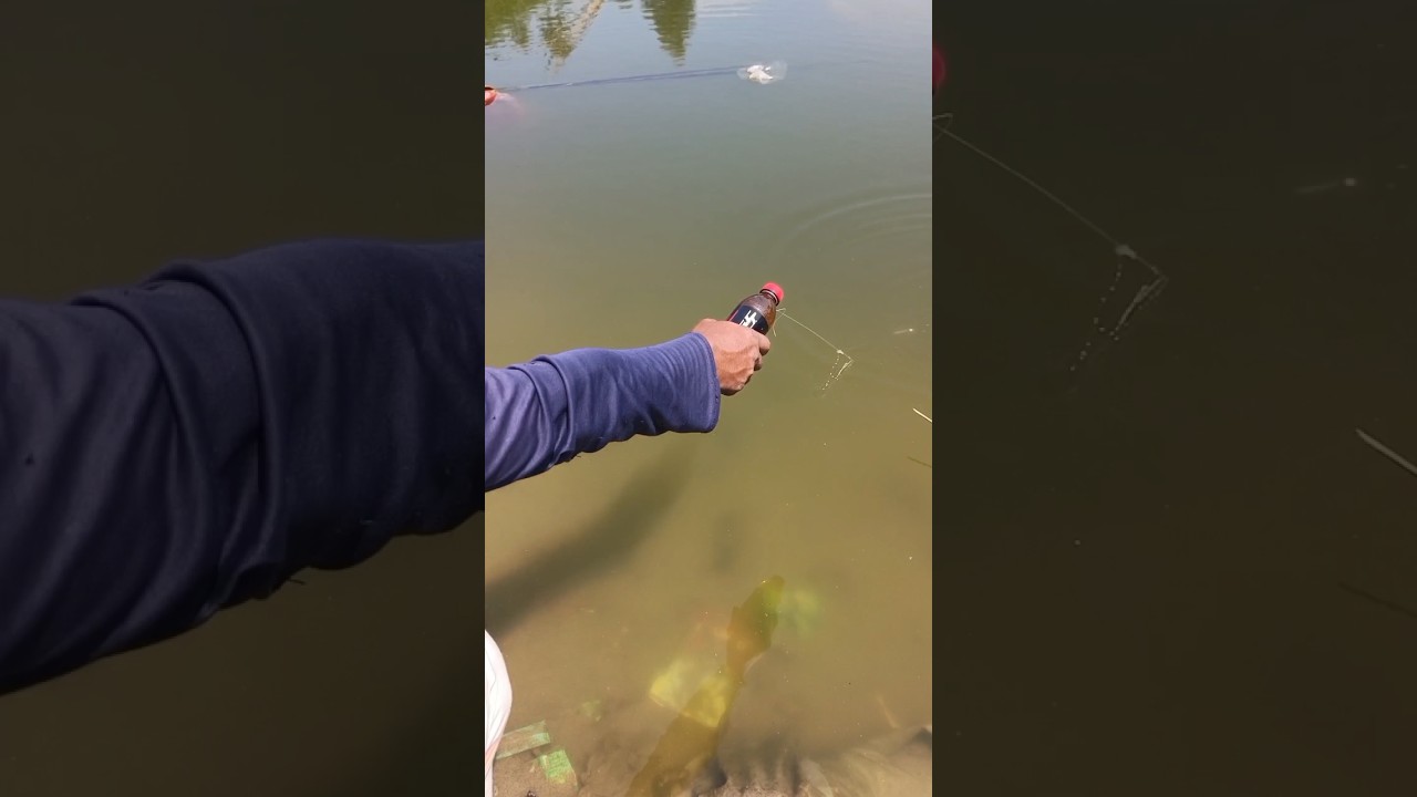 Caught a Fish in Just 3 Seconds #fishing #fish #shorts