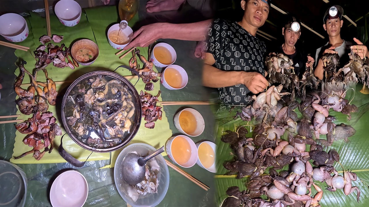 24h Sinh Tồn Trong Rừng – Tự Bắt Ếch, Chim Làm Món Ăn Nguyên Thủy ,@samsysot
