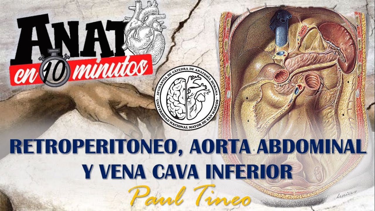 Retroperitoneo, aorta abdominal y vena cava inferior-ANATO EN 10 MINUTOS