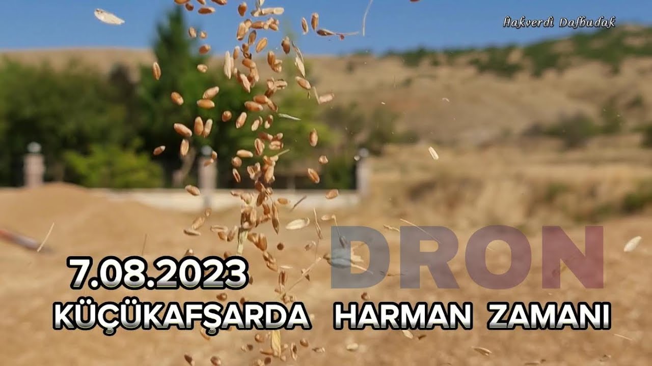 KÜÇÜKAFŞAR DA HARMAN ZAMANI 7.08.2023   4K-8K