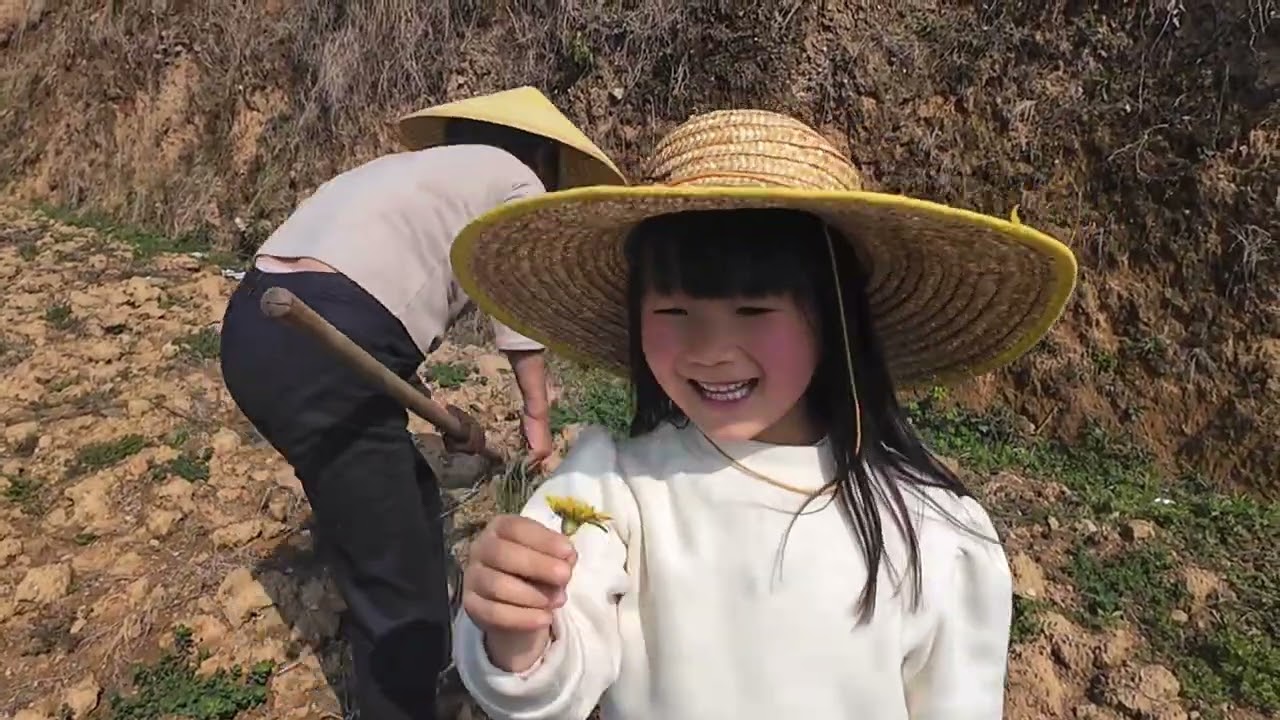 年初五大鱼大肉吃腻了 今天去山上挖点野味换换口味 野葱一挖一大袋 太爽了