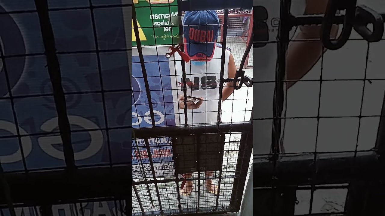 Mag iingat po tayo sa mga nag Kalat na Gcash scammers