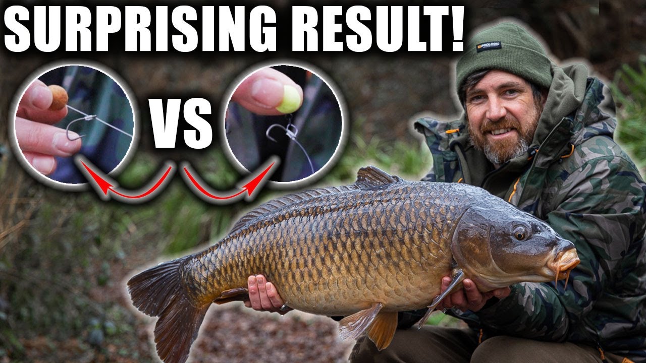 Pop Ups Vs Bottom Baits Which One Wins?! (Best Winter Carp Fishing Bait?)