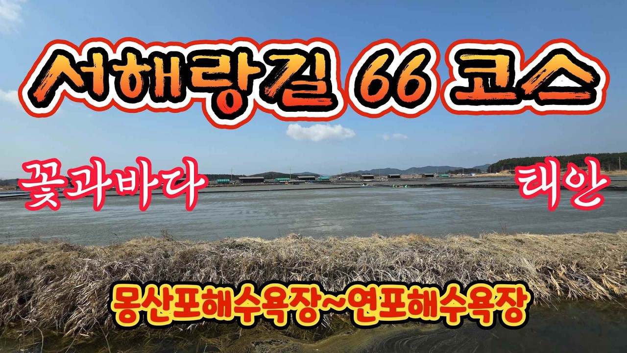 서해랑길66코스(22.8km)/ 꽃과바다 태안/걷는길을 영상으로/몽산포해변~연포해수욕장/갤럭시 s25/8k
