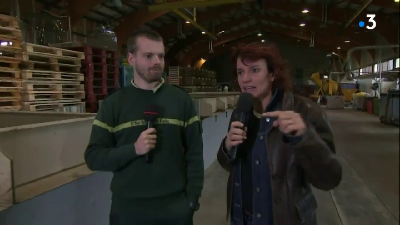 C'est votre tour : découverte de la sécherie de graines de l'ONF à SUPT (39)