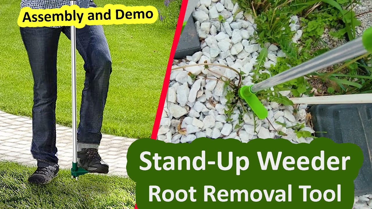 Assembly & Demo of Standup Weed Puller Gadget for fast weed removal
