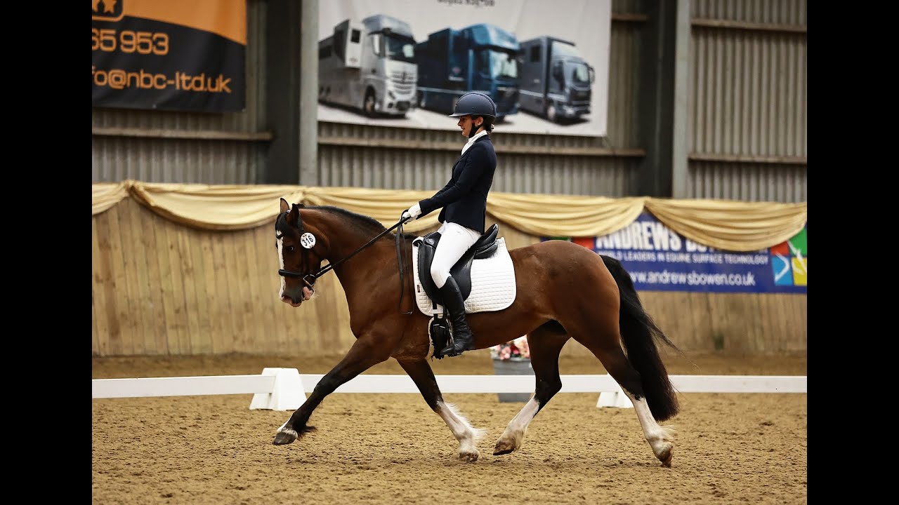 Onley BD Summer Area Festival Novice Silver FSM | 71.574% 1st Place Veronica Bunnie