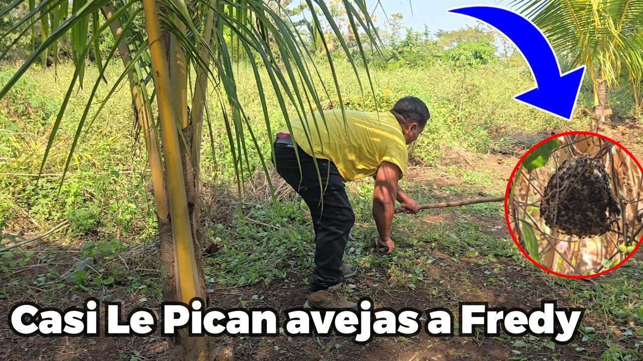 Fredy Confieza Que Quiere Hacer Su Propia Casa