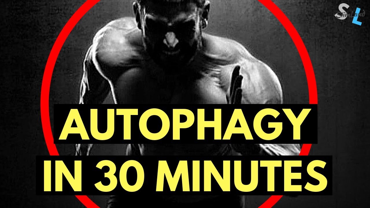 FASTEST Way to Activate Autophagy - Autophagy in 30 Minutes