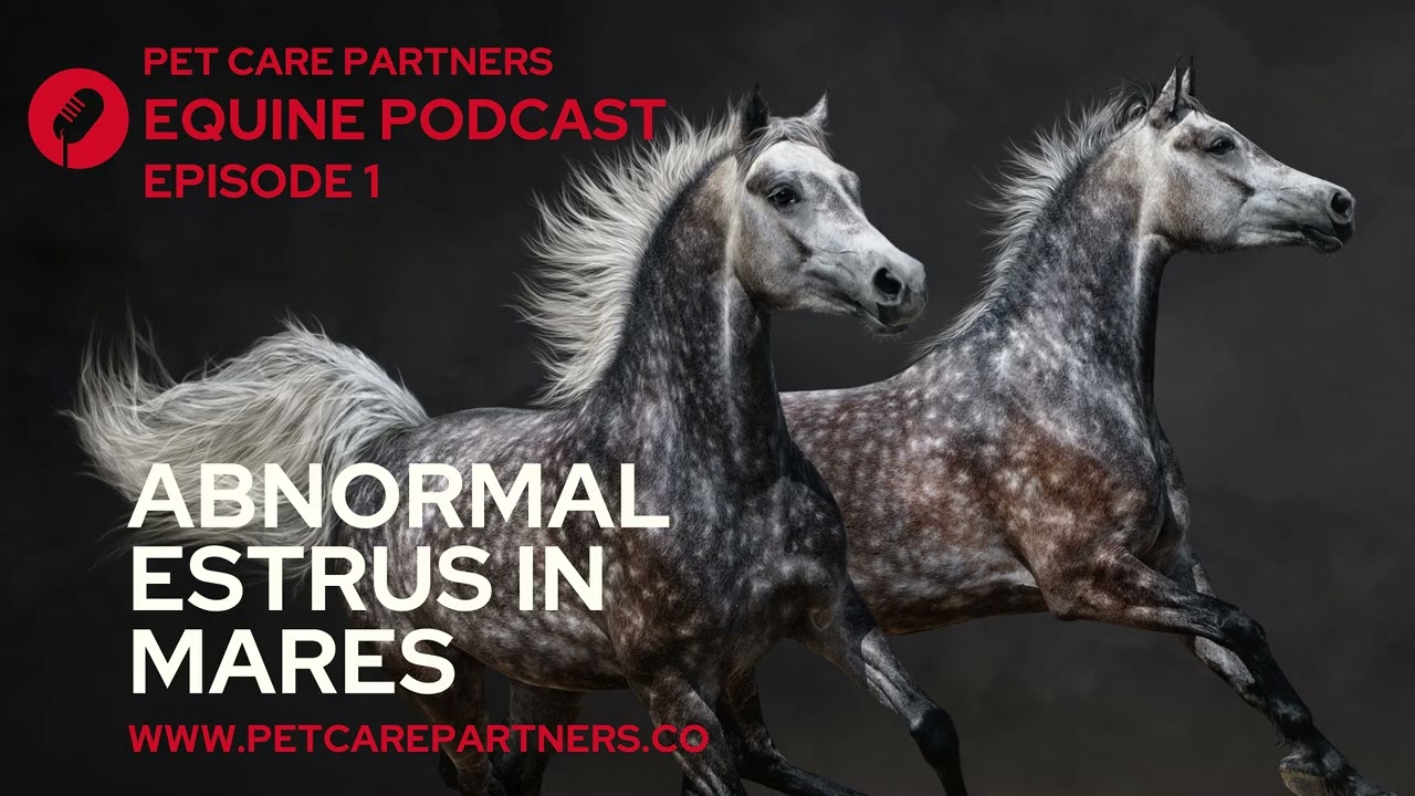 EP 1: Abnormal Estrus in Mares: Causes, Diagnosis & Management | Pet Care Partners