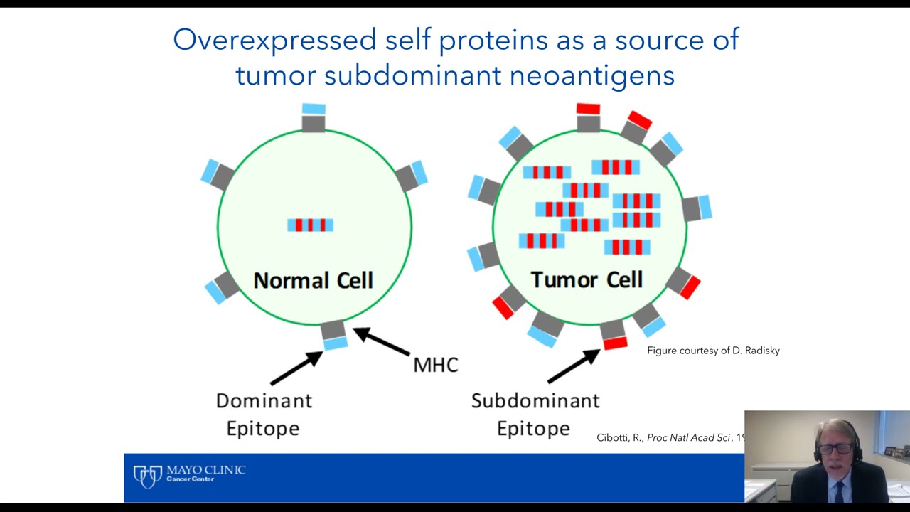 Th17-Inducing Vaccines for the Treatment of Ovarian Cancer