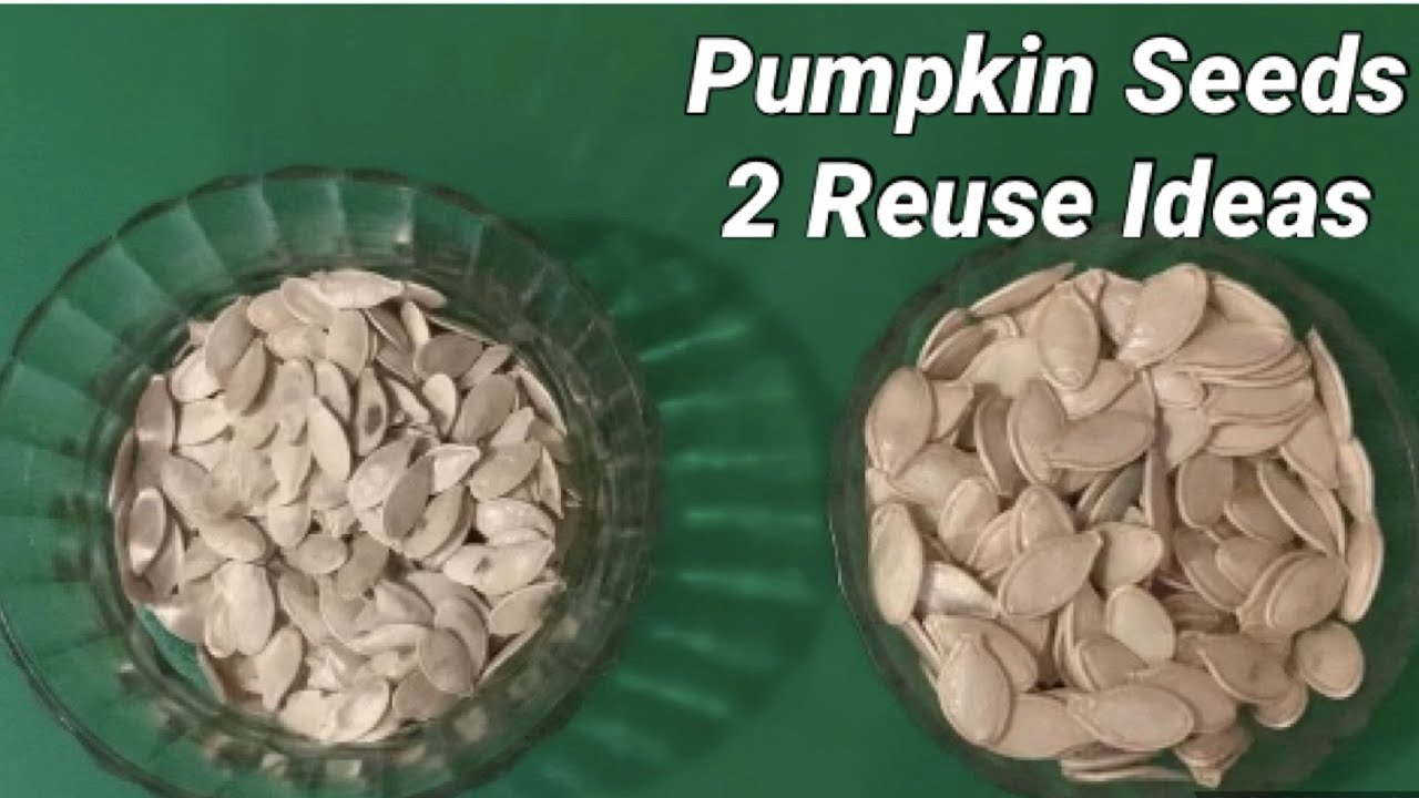 What To Do With Pumpkin Seeds After Halloween | How To Reuse Pumpkin Seeds Ideas|DIY#Reuse#Recycling