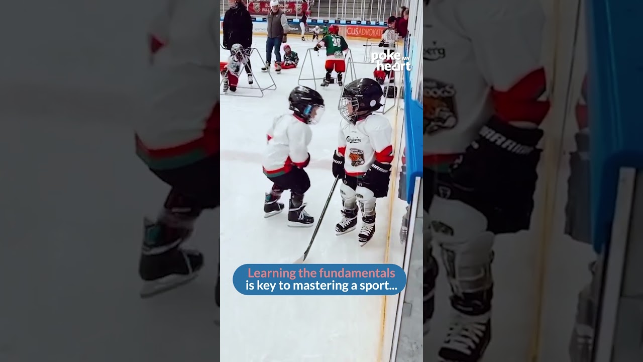 Kid Pushes Twin Brother to Ground While Playing Ice Hockey