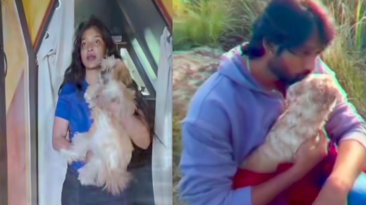 Back to back PAARUDIN Video 