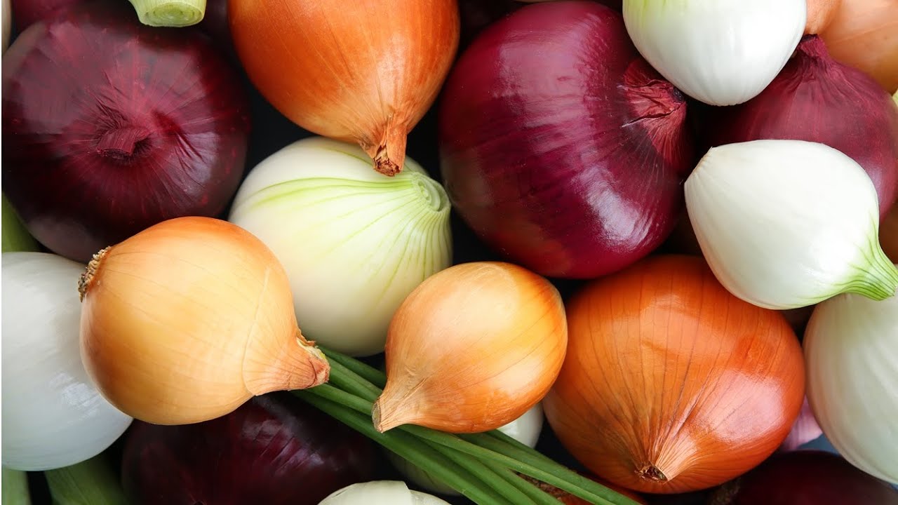 ✅ Ail, Oignon, Échalote : Plantez-les à l’Automne pour une Récolte Abondante ! 🌱🧄