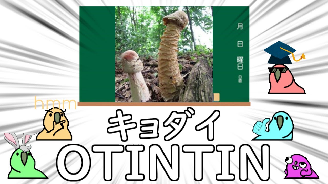 【Party Parrot】色々なキノコをおべんきょうするParrot【パーティーパロット】【TINTIN Parrot】
