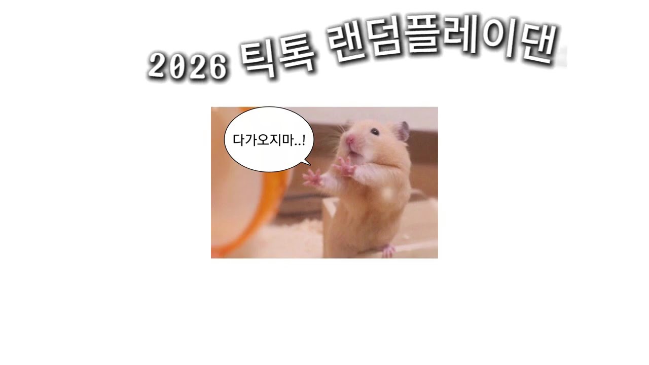 2026 틱톡 랜덤플레이댄스🎶지금 제일 핫한 춤 모음!#틱톡랜덤플레이음원#2026틱톡#틱톡랜플#틱톡#랜플🎵