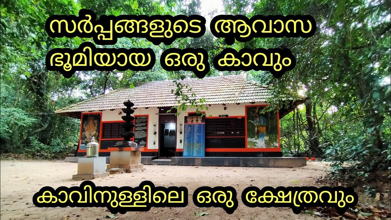 SANKHKULANGARA KAVU TEMPLE