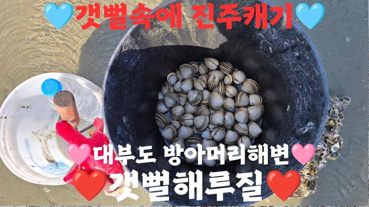 [갯벌해루질] 갯벌속의 진주를 찾아 갯벌체험