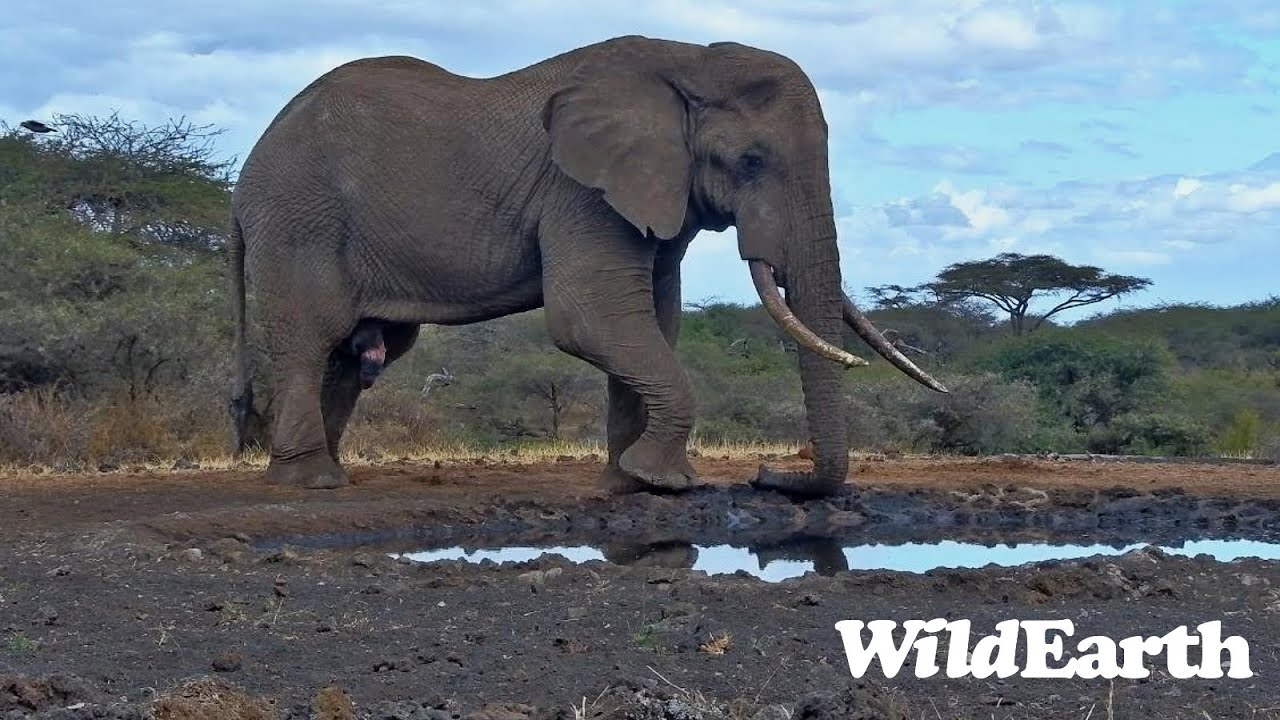 A sublime time at the Waterholes!