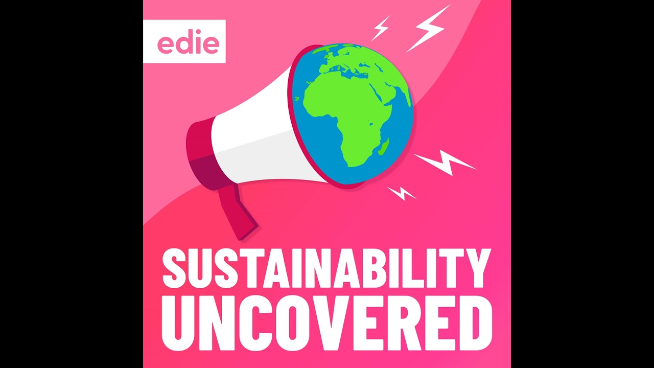 Episode 38: Did banks really give up on net-zero in 2025?