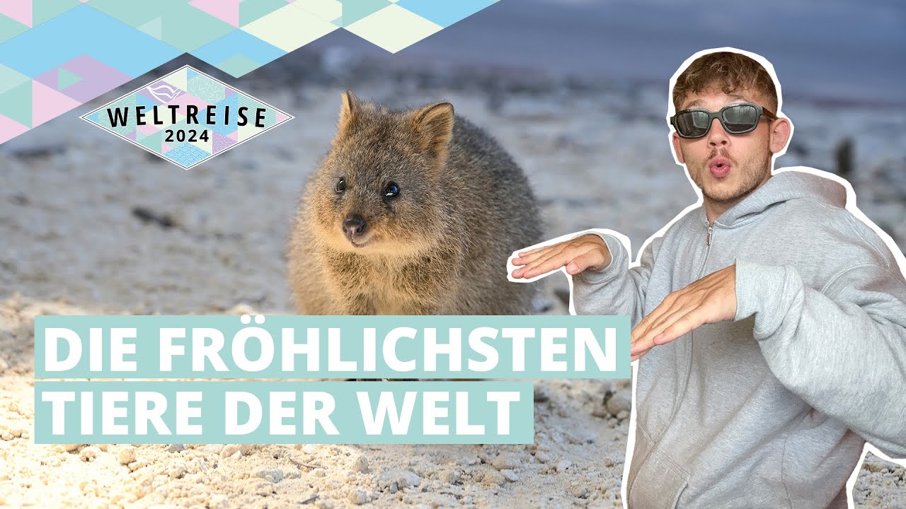 AIDAsol Weltreise 2024 | Vlog Nr. 12 mit Dave | Die fröhlichsten Tiere der Welt