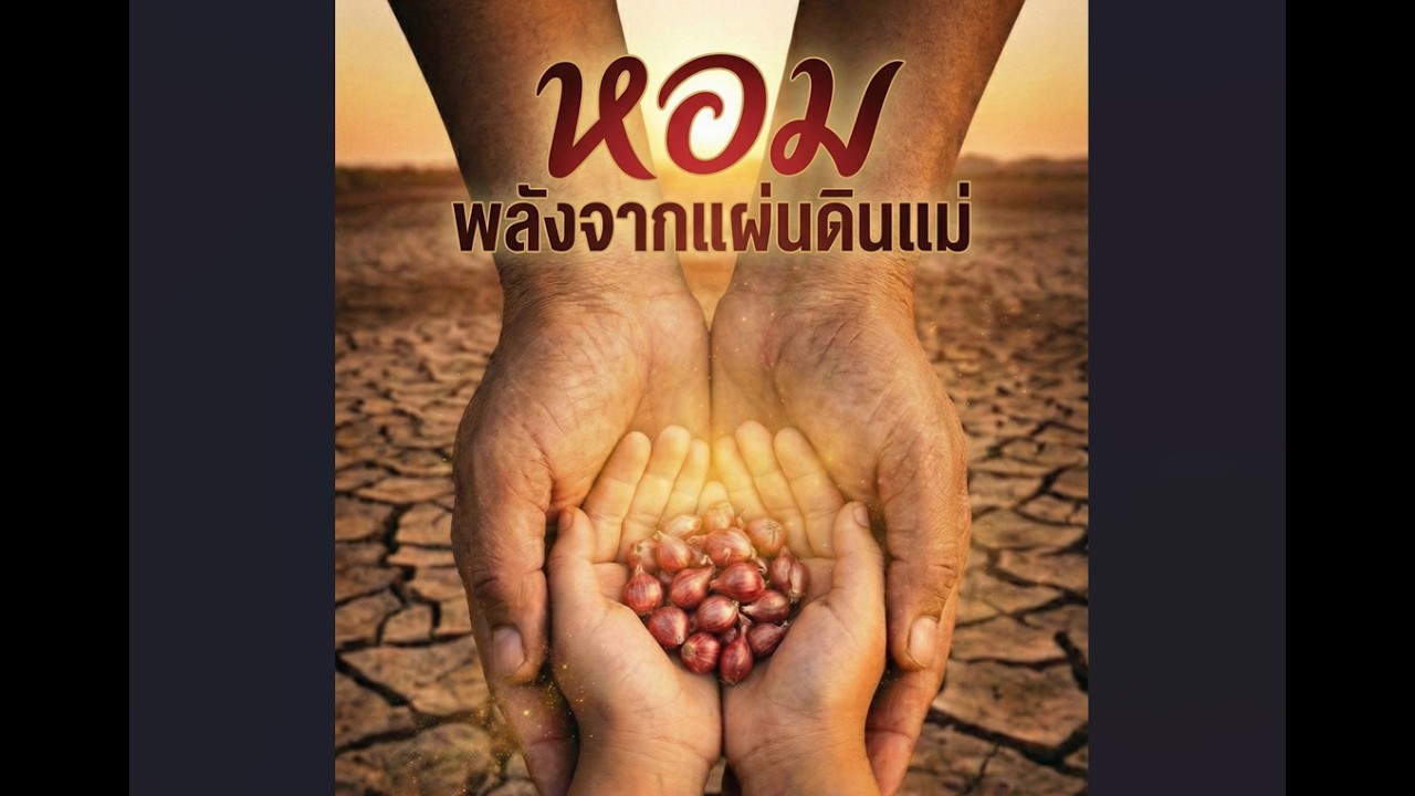 ภาพยนตร์สั้น 