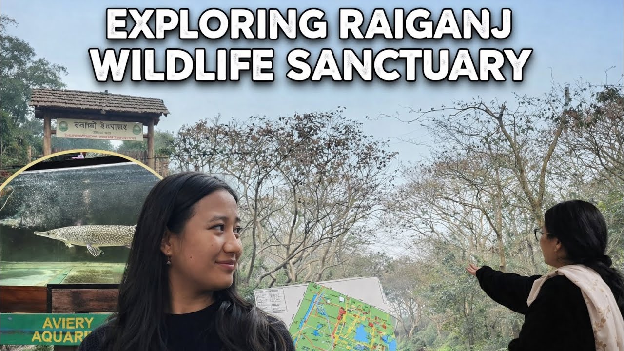 Between Hectic Official Work | Exploring Raiganj Wildlife Sanctuary 🦢🦃