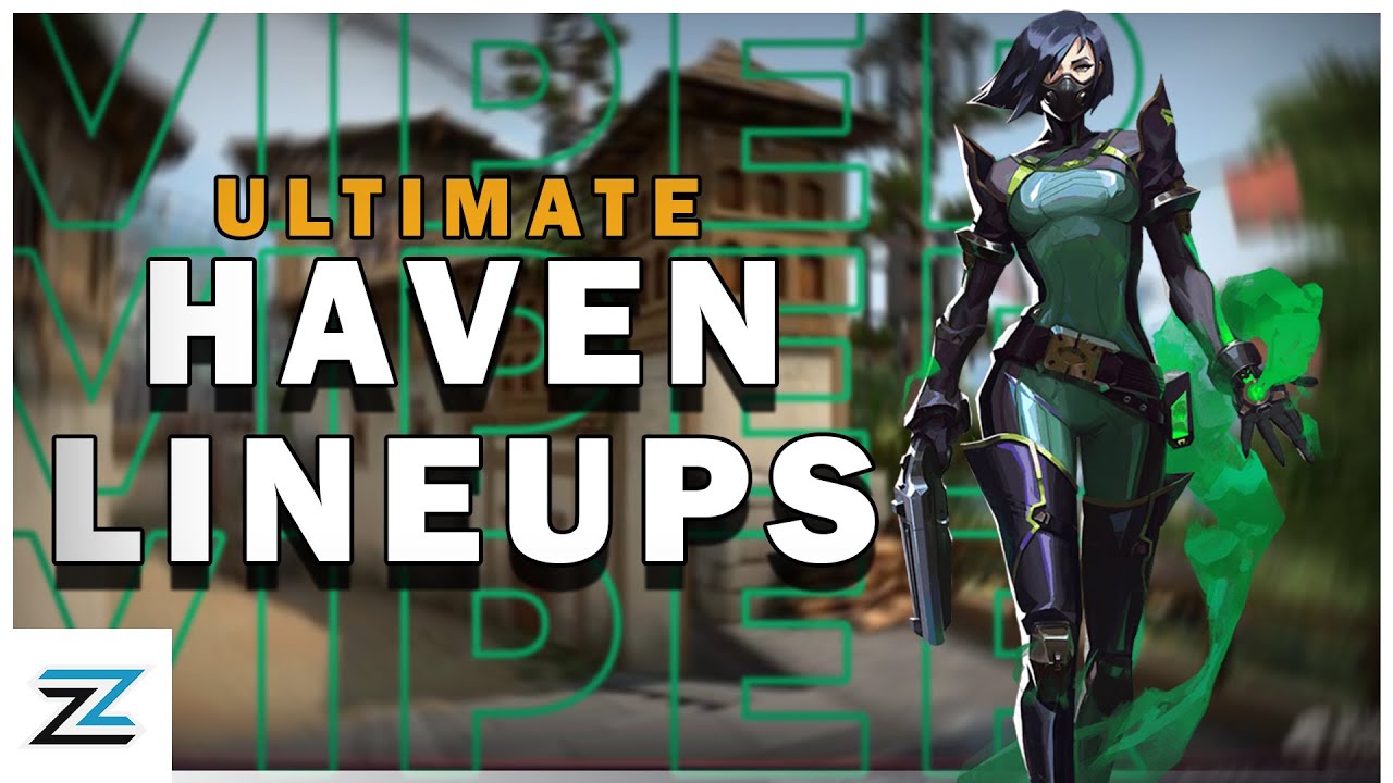 Ultimate Viper Haven Post Plant Setup Guide | Viper Setups