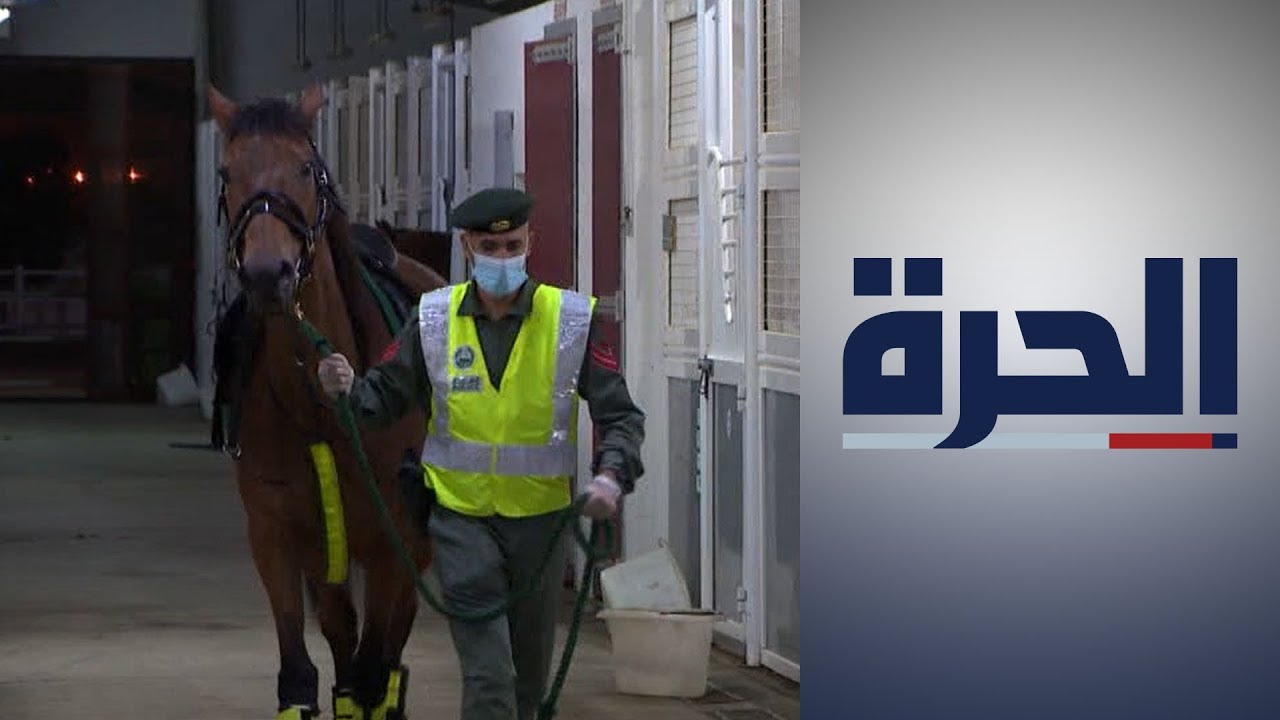 شرطة دبي تسير دوريات خيالة لتطبيق إجراءات السلامة