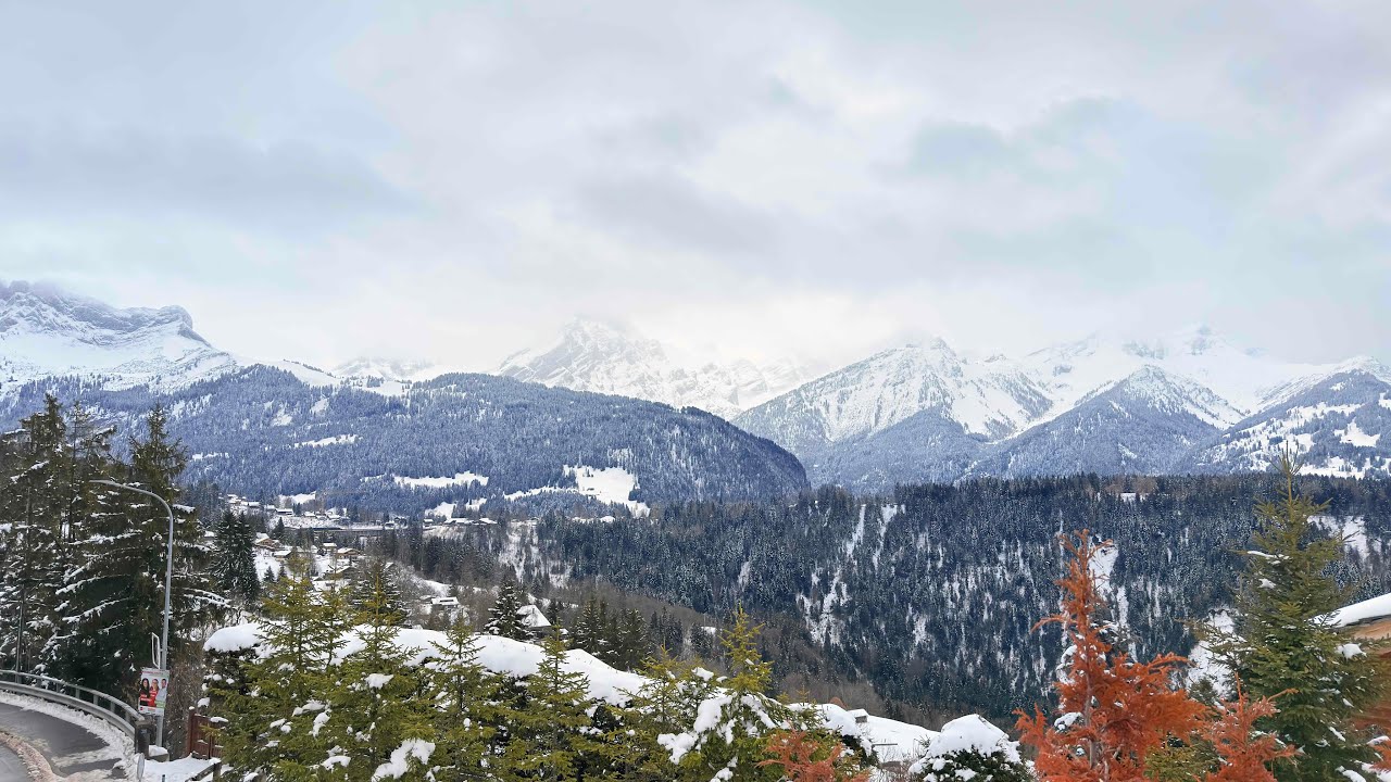 دوستان عزیز خوش امدید🇨🇭🇨🇭🇨🇭
