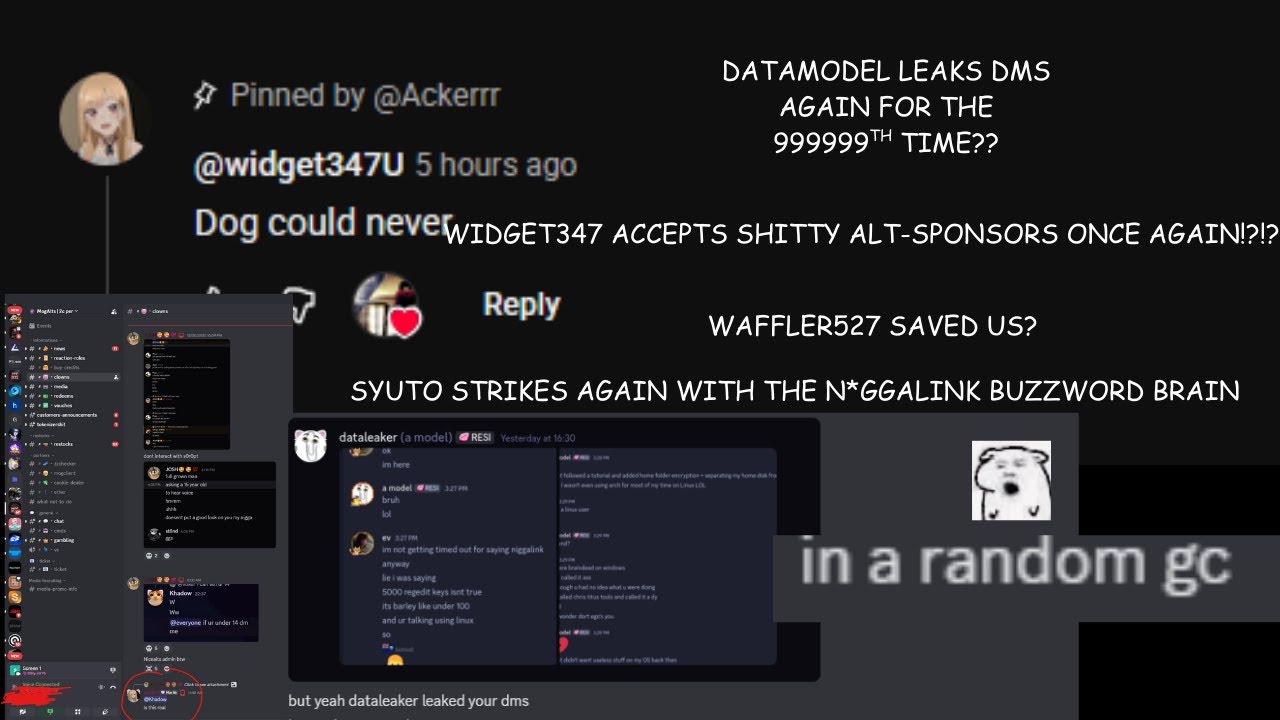 WIDGET GETS MAD BECAUSE HE'S A BRAINROT CHEATING YOUTUBER!? DATAMODEL LEAKING DMS?! TYLER CLIENT?!