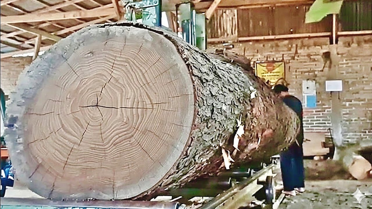 🌲The Satisfying Sound of a Saw! The Process of Splitting Large Logs🌲