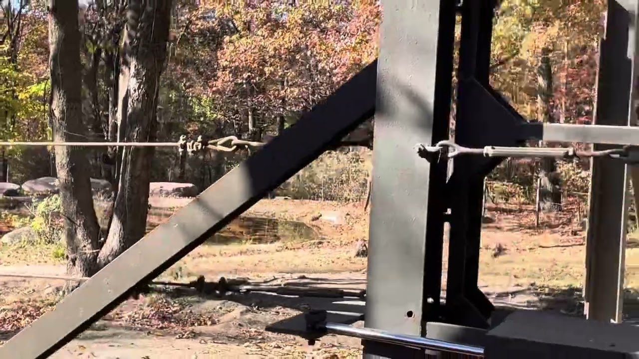 Bronx Zoo Wild Asia Monorail Tour 11/03/2024