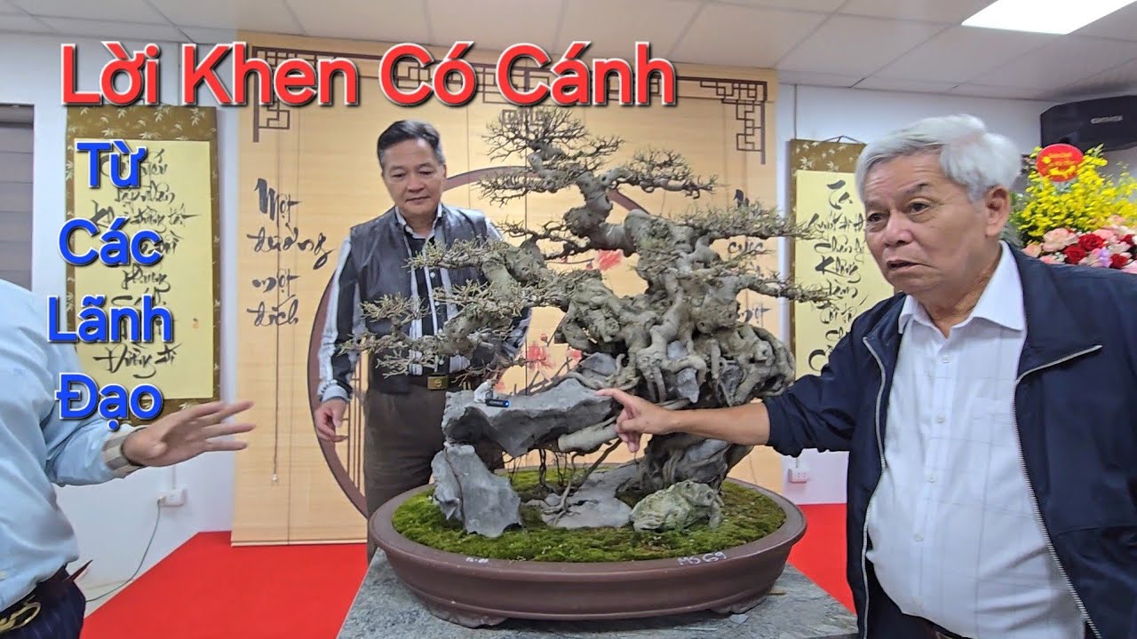 TP QUÝ của chú THÀNH nhận được MƯA LỜI KHEN CÓ CÁNH từ các LÃNH ĐẠO .