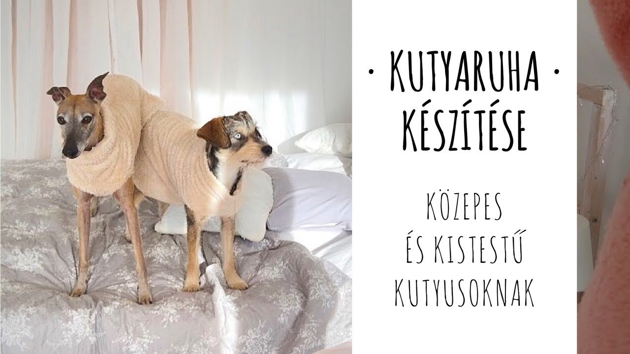 Kutyaruha készítése • DIY • közepes és kistestű kutyusoknak | Molnár Kinga