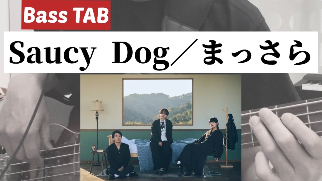 [Bass TAB] Saucy Dog『まっさら』Bass Cover