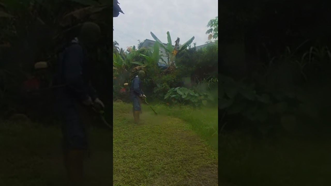 POTONG RUMPUT DI FELDA BUKIT KUANTAN
