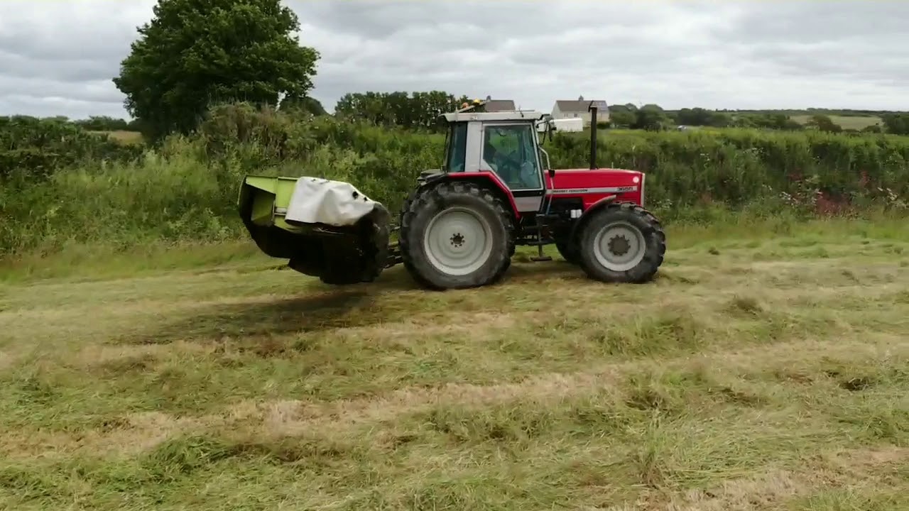 Massey Ferguson 3655 mowing