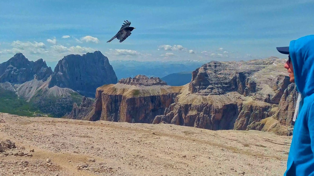 Młody Wilk - Bieszczady  [PROD. CERTIBEATS]