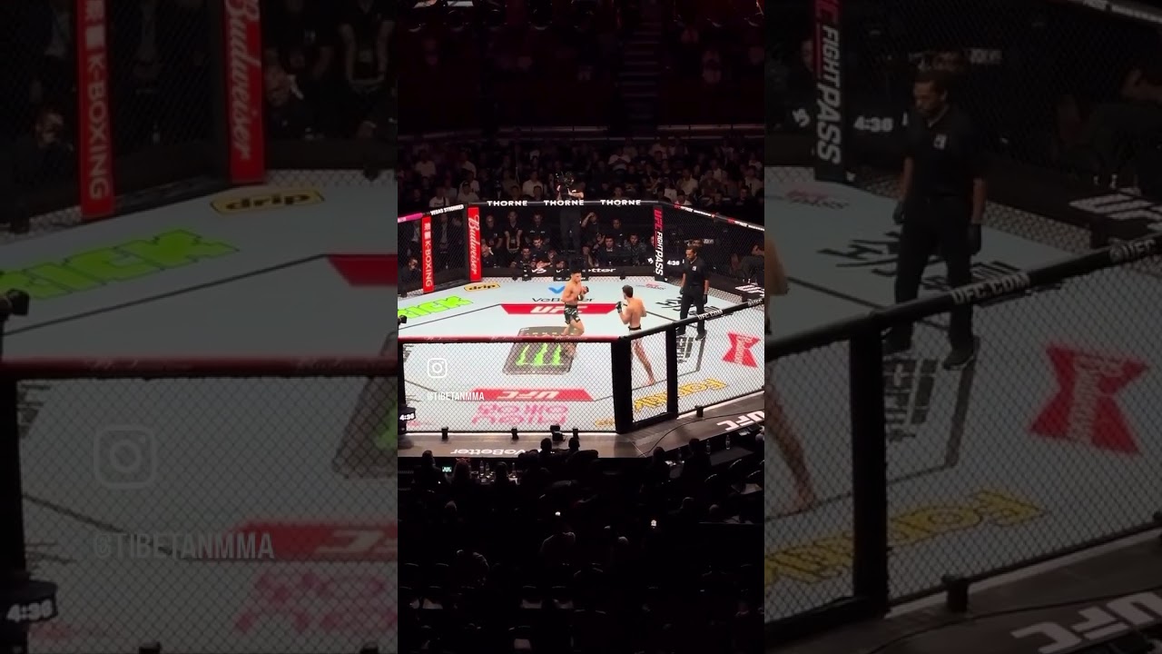 in just 37 seconds Yizha delivers a brutal KO#ufcshanghai #ufc #performance #winner #fast #knockout