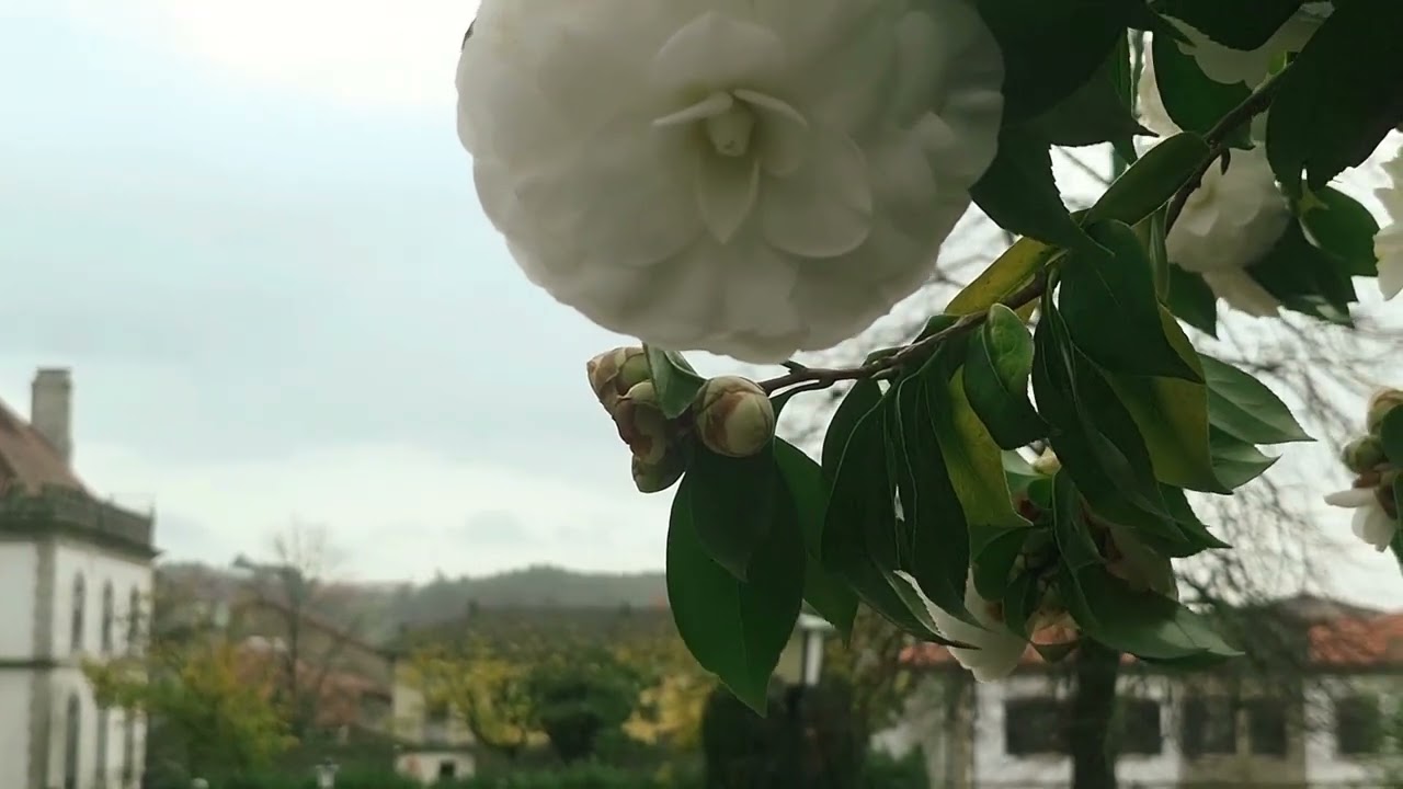 Guimarães - Portugal