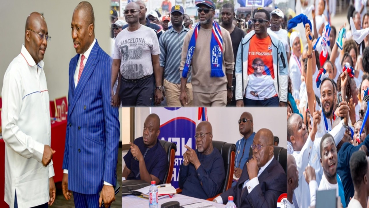 Thank you leader, Jubilation hit Bawumia and NPP as Afenyo sets records straight on...2028 bɛyɛdɛ