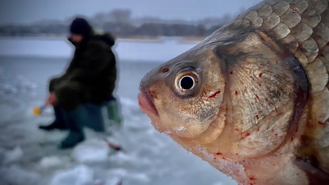 Ловля КРУПНОГО🐟🐟🐟 ЗИМНЕГО КАРАСЯ со льда❄❄❄!!!